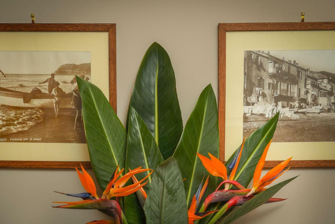 B&B H68 Alassio Dış mekan fotoğraf